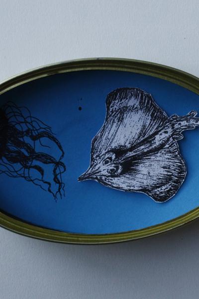 Iris Julin 1