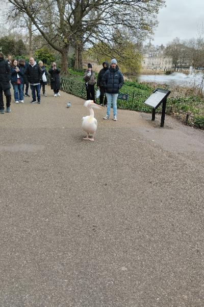 London25 045